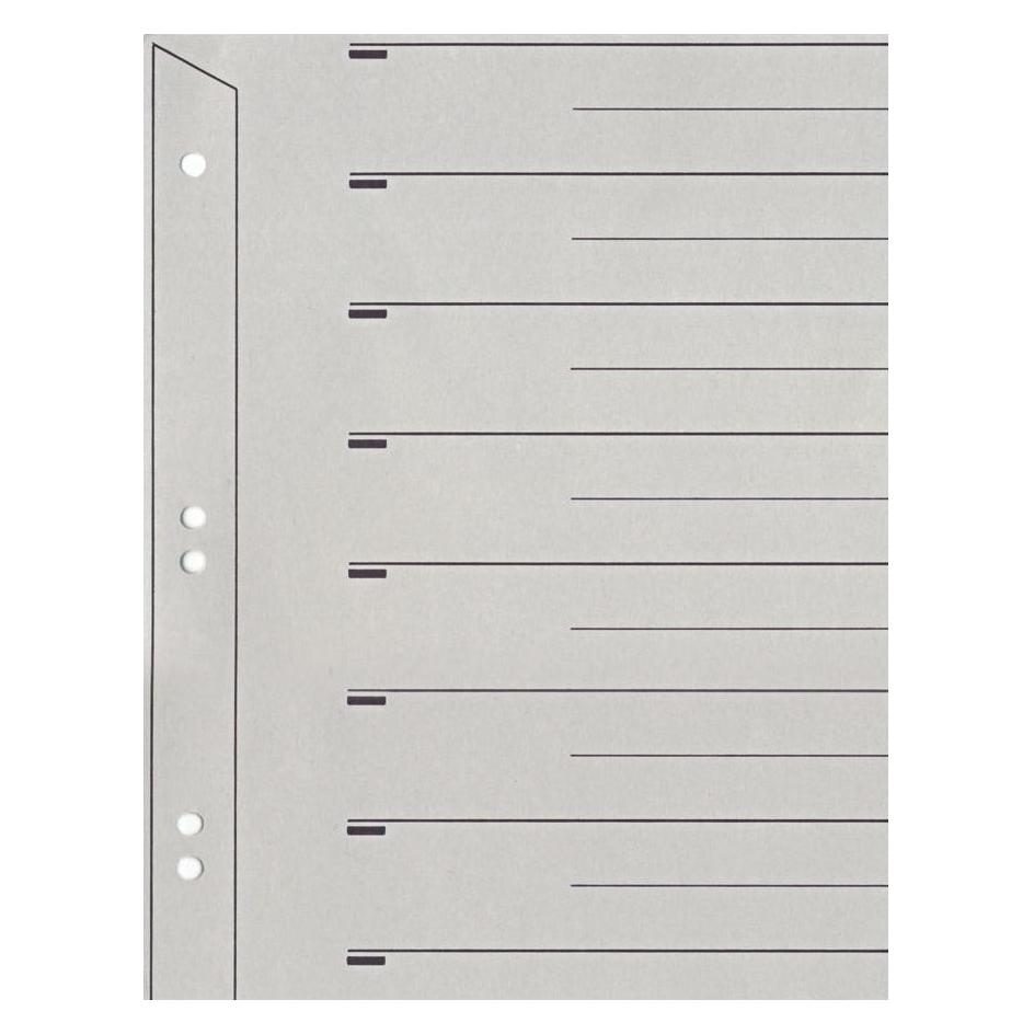 Leitz Trennblatt (6097-00-85)