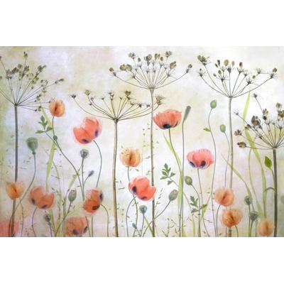 Fototapete PAPERMOON "Photo-Art MANDY DISHER, MOHNWIESE", bunt, B:4m L:2,6m, Vlies, Tapeten