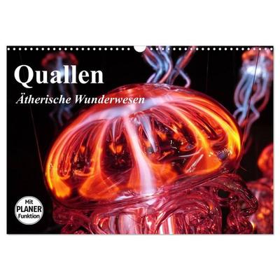 Quallen. Ätherische Wunderwesen (Wandkalender 2027 DIN A3 quer), CALVENDO Monatskalender