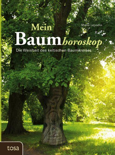 Maria Leondin - Mein Baumhoroskop: Die Weisheit des keltischen Baumkreises - Preis vom 09.10.2026 07:28:09 h