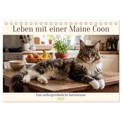 Leben mit einer Maine Coon (Tischkalender 2027 DIN A5 quer), CALVENDO Monatskalender
