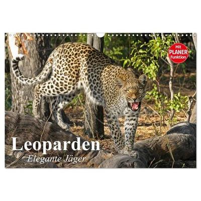 Leoparden. Elegante Jäger (Wandkalender 2027 DIN A3 quer), CALVENDO Monatskalender