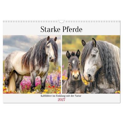 Starke Pferde. Kaltblüter im Einklang mit der Natur (Wandkalender 2027 DIN A3 quer), CALVENDO Monatskalender