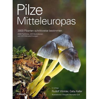 Pilze Mitteleuropas, Gebundene Ausgabe von Rudolf Winkler,Gaby Keller, Haupt Verlag, 978-3-258-08388-9