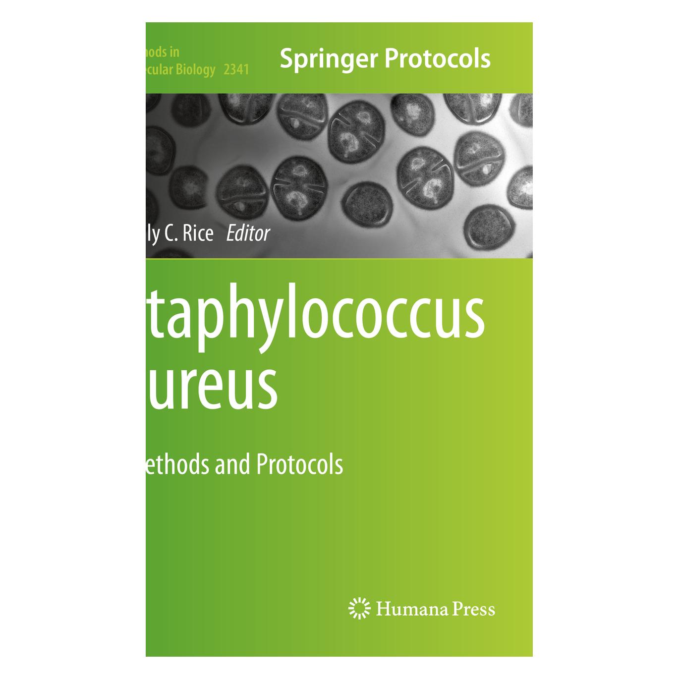 Springer Staphylococcus aureus (Englisch, Softcover, Kelly C. Rice) (56865145)