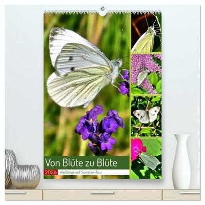 Von Blüte zu Blüte - Weißlinge auf Sommer-Tour (hochwertiger Premium Wandkalender 2026 DIN A2 hoch), Kunstdruck in Hochglanz