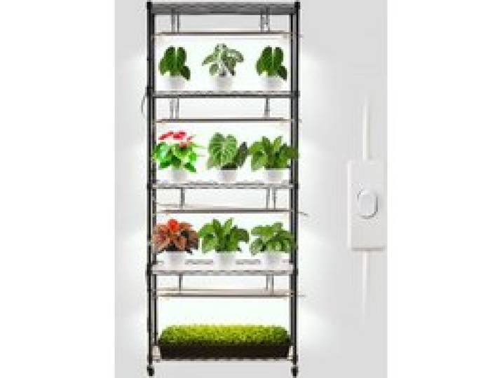 VEVOR Support Plantes Intérieur avec Lampe de Croissance, Étagère Plantes à 6 Niveaux Métal, Hauteur 180 cm, 192 W, avec Roulettes, Lampe à Spectre Complet 5000K, Meuble Présentoir pour Pots de Fleurs