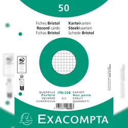Exacompta 10620E 24x 100er Packung Karteikarten - kariert gelocht - 170x220mm - Weiß