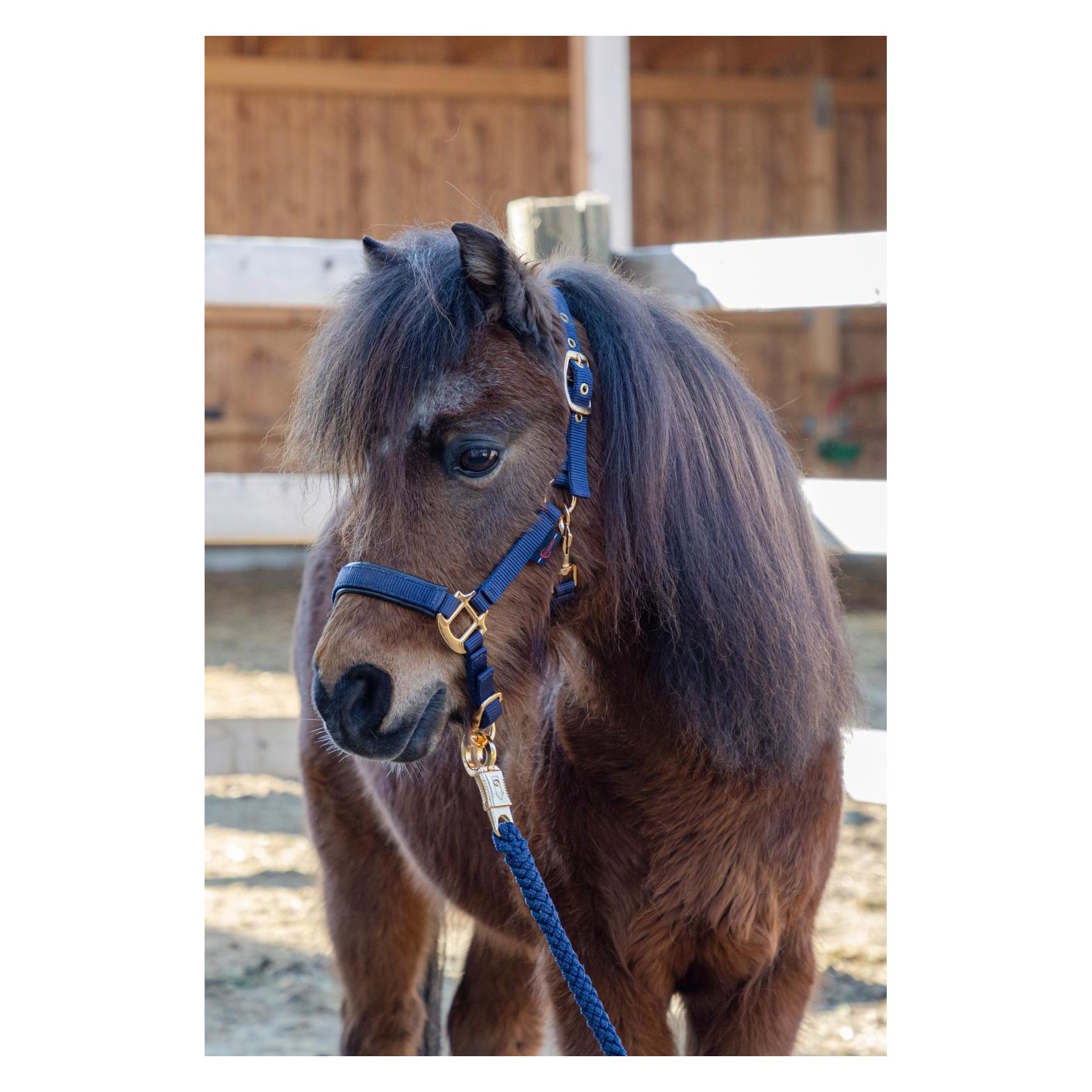 Kerbl Fohlenhalfter TopLine, navy (3224747)