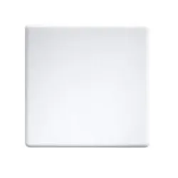 Eltako Wippe lasergraviert W-F2T55E-wg#30055966