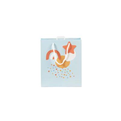 Clairefontaine 6x Geschenktasche M, Welcome, 21,5x10,2x25,3cm - Hellblau 30666-3C