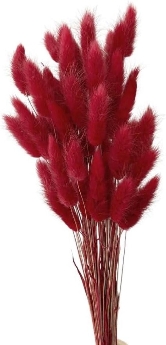 Gedroogd Pampasgras Boeket Donkerrood - 50 Stuks Natuurlijke Droogbloemen voor Woonkamer Decoratie