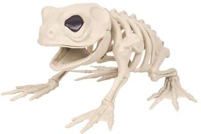 Uplift Essentials Halloween Skeleton Animal Prop Decor frog