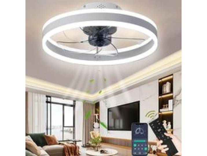 Wild Ventilateurs de Plafond Avec lampe Ventilateur Silencieux Plafond avec Led Lumiere et Télécommande Bedroom 50CM Blanc