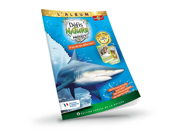 Album de classement - Couverture Requin bordé