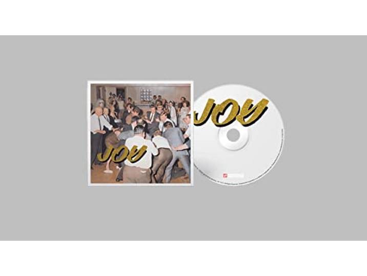Idles - Joy As An Act Of Resistance.
