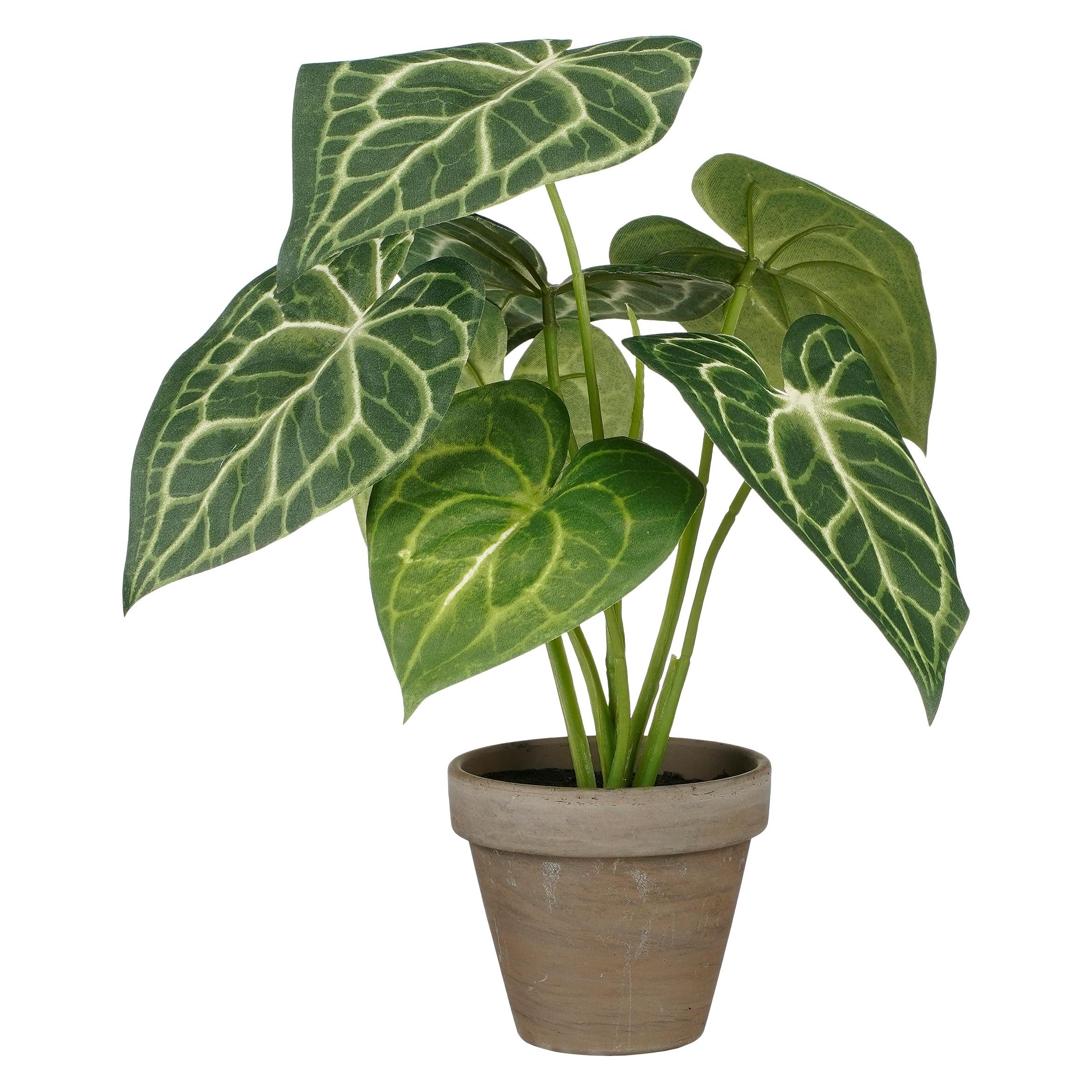 Mica Decorations Caladium (28 cm) (1159763)