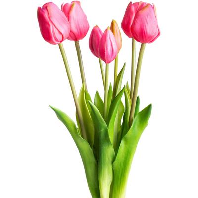 Kunstpflanze OTTO HOME "Maiva", bunt (beauty), B:20cm H:47cm T:20cm, Kunststoff, Kunstpflanzen, Kunstpflanze, Tulpenbündel im 7er-Set