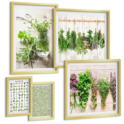 BILDER SET 5er Set - 50x50 cm & 20x30 cm & 40x60 cm Goldrahmen - Getrocknete Kräuter für die Küche