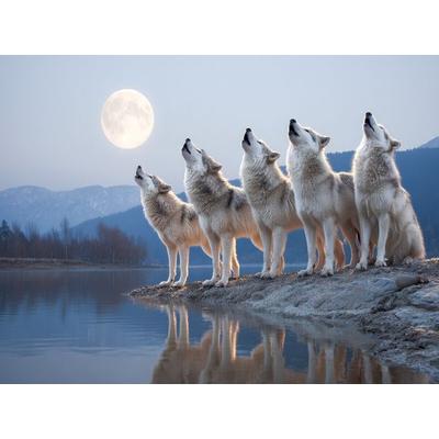 CALVENDO Puzzle Ruf der Wildnis: Wölfe bei Vollmond | 1000 Teile Lege-Größe 64x48cm Foto-Puzzle für glückliche Stunden