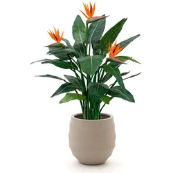 + 10 % Kassenrabatt | Designplants/Luca Lifestyle Strelitzia Kunstpflanze (h:115 cm) mit Bordo Balloon Blumentopf