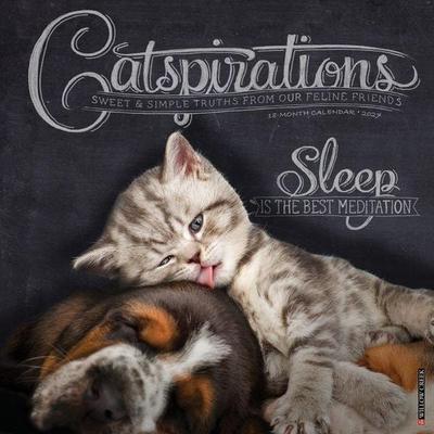 Catspirations 2027 12 X 12 Wall Calendar
