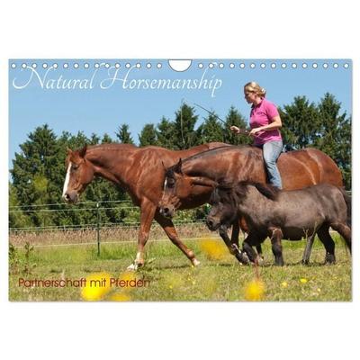 Natural Horsemanship - Partnerschaft mit Pferden (Wandkalender 2027 DIN A4 quer), CALVENDO Monatskalender