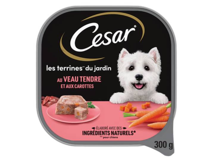 Cesar Garden Inspirations Terrine Pâté Nourriture pour Chien - Bœuf &amp; Carotte 300 g