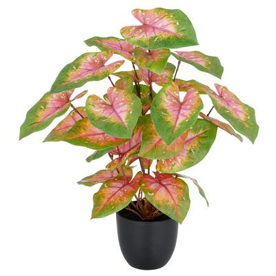 Kunstpflanze CREATIV GREEN "Caladium", grün (grün, rosa), H:40cm, Kunststoff, Kunstpflanzen, Kunstpflanze, mit außergewöhnlicher Blattzeichnung