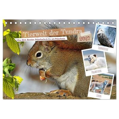 Tierwelt der Tundra (Tischkalender 2027 DIN A5 quer), CALVENDO Monatskalender