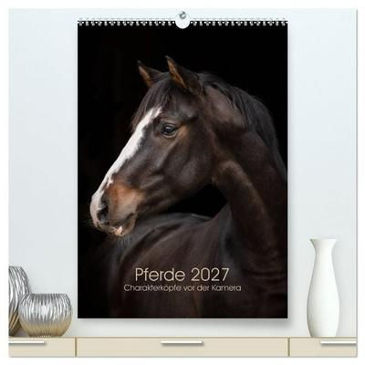 Pferde 2027 - Charakterköpfe vor der Kamera (hochwertiger Premium Wandkalender 2027 DIN A2 hoch), Kunstdruck in Hochglanz