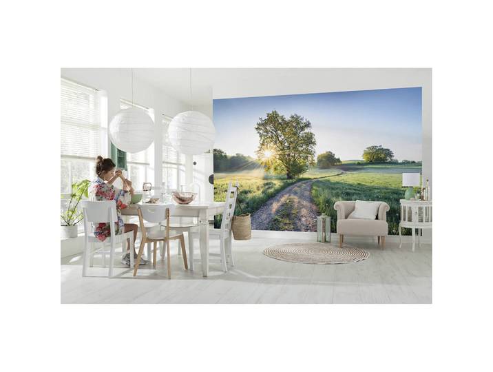 Papier peint intissé New Day in Paradise 400 x 250cm