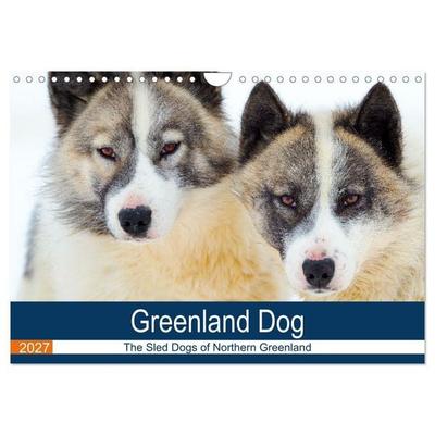 Greenland Dog - The Sled Dogs of Northern Greenland (Wall Calendar 2027 DIN A4 landscape), CALVENDO 12 Month Wall Calendar