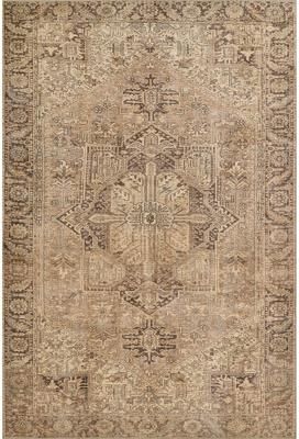 Momeni Ariana Traditional Medallion Polyester Area Rug