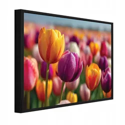 BILDER mit Rahmen Blumen Tulpen Bunt 100x70 cm