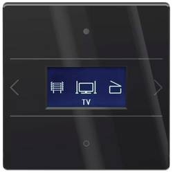 Theben 4804418 LUXORliving iON8 G BK Raumregler Unterputz 1 St.
