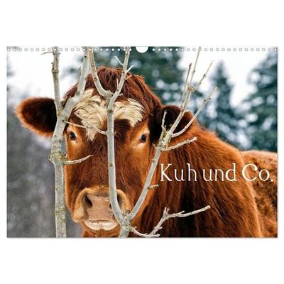 Kuh und Co. (Wandkalender 2027 DIN A3 quer), CALVENDO Monatskalender