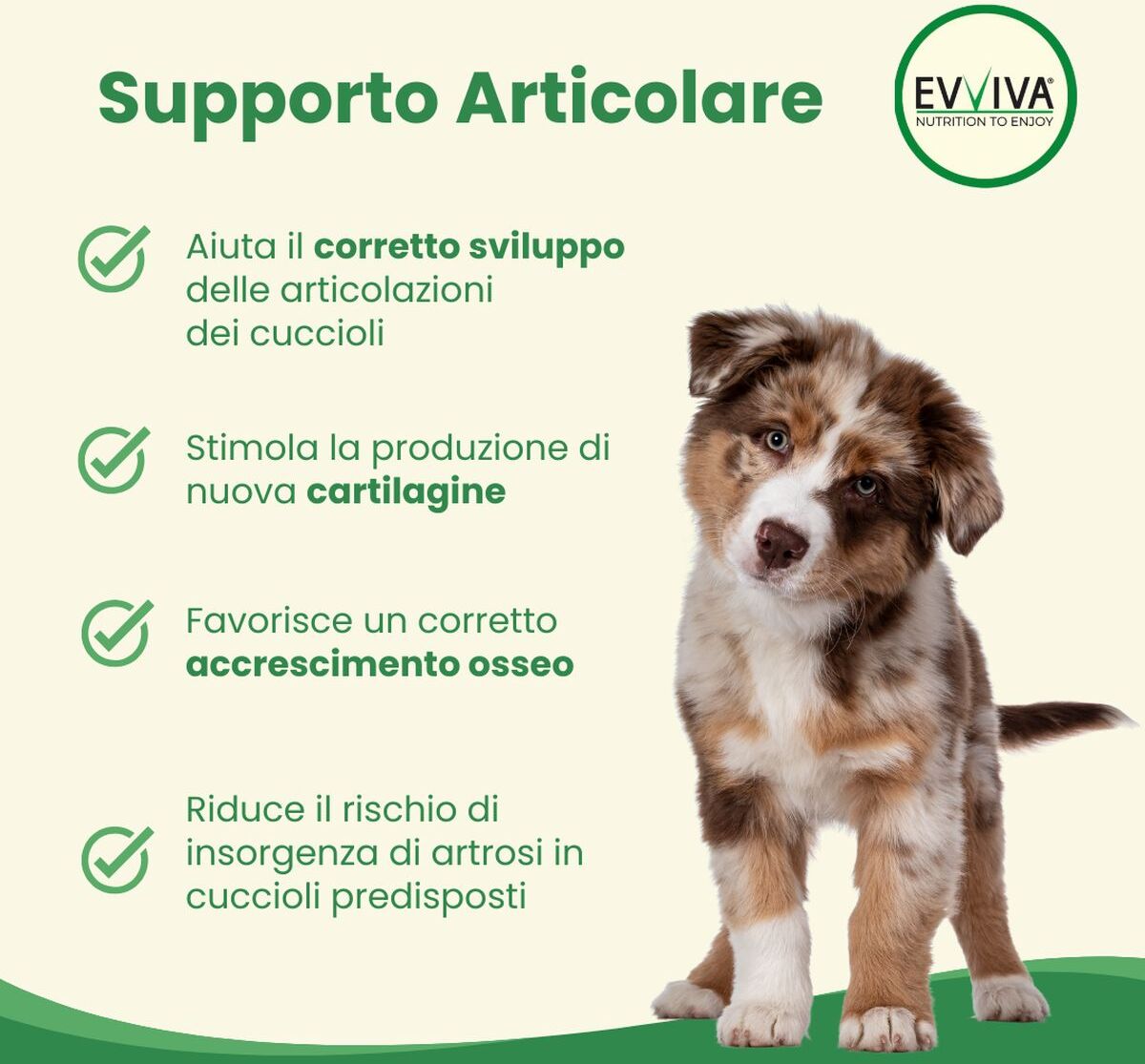 Evviva Pet Nutrition to Enjoy Restore Puppy 250G