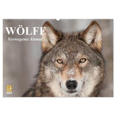 Wölfe. Verwegene Anmut (Wandkalender 2027 DIN A2 quer), CALVENDO Monatskalender