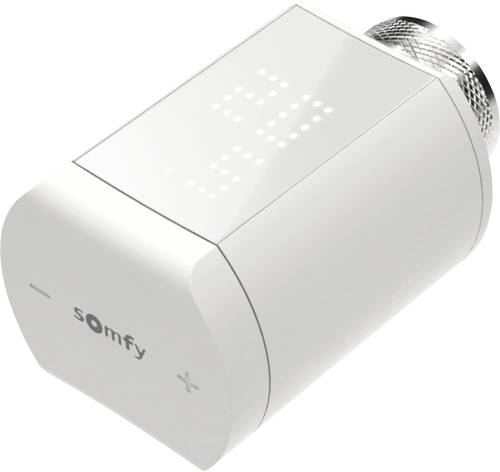 Somfy 1870508 Funk-Alarmanlagen-Erweiterung Funk-Thermostat