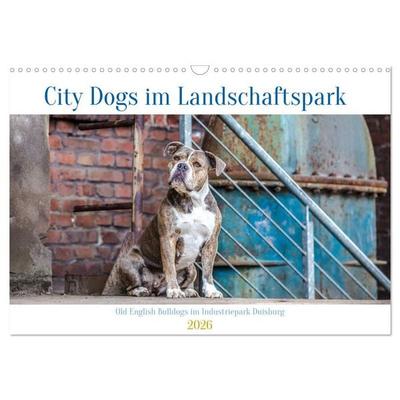 City Dogs im Landschaftspark (Wandkalender 2026 DIN A3 quer), CALVENDO Monatskalender