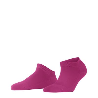 Sneakersocken FALKE "ClimaWool", Damen, Gr. 41-42, pink (8390, berry), Obermaterial: 44% Polyamid, 28% Schurwolle, 28% Lyocell, unifarben, Socken Sneakersocken, mit feuchtigkeitsregulierender Funktion, atmungsaktiv