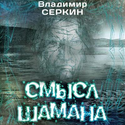 Smysl Shamana - Vladimir Serkin, Audio, 9785171764852
