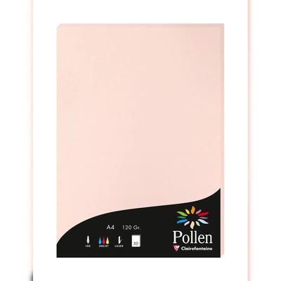 Pollen 10x Pollen, Packung mit 50 Blatt A4 120g - Opaline 4234C