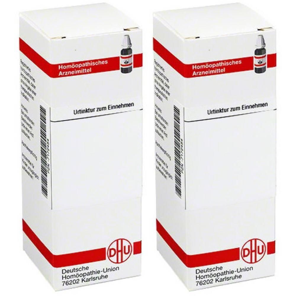 Leonurus Cardiaca Urtinktur 2x 2x20 ml Dilution