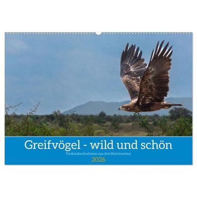 Greifvögel - wild und schön (Wandkalender 2026 DIN A2 quer), CALVENDO Monatskalender
