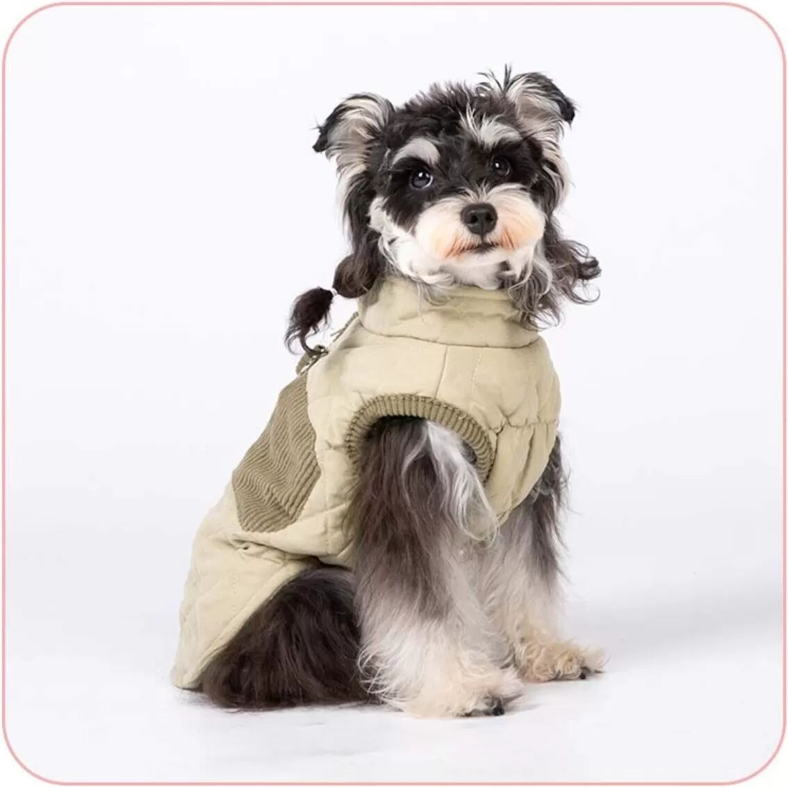 INF Gesteppte Hundejacke - Warme Winterjacke mit Reißverschluss & Rippbündchen S