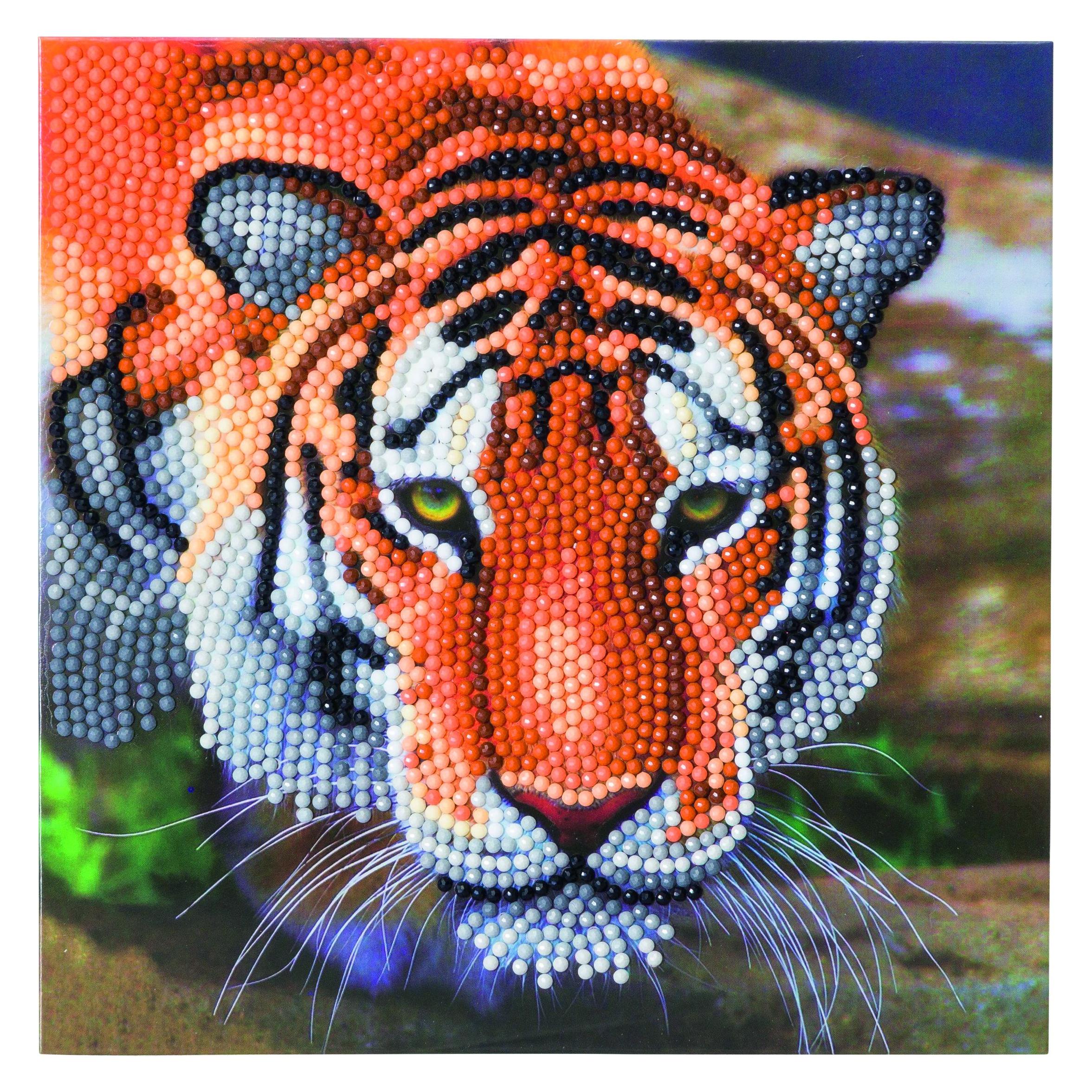 Craft Buddy Tiger (CCK-A40)