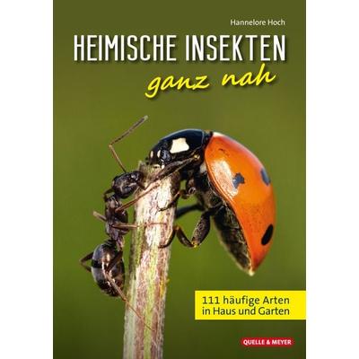 Heimische Insekten ganz nah, Taschenbuch von Hannelore Hoch, Quelle & Meyer, 978-3-494-01980-2