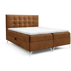 BOXBETT Candela